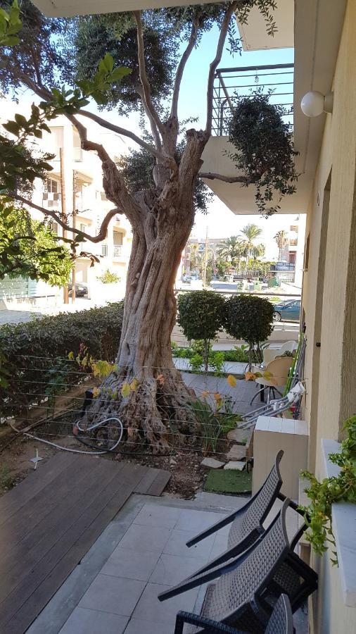 Kerynia Apartments Paphos Exteriör bild